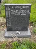 image of grave number 119050